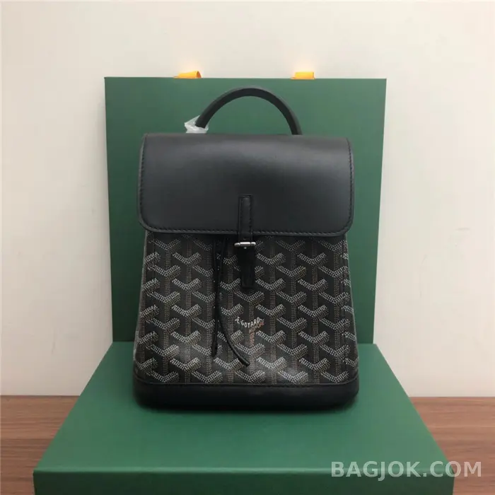 고야드 GOYARD 알팡 백팩 미니 상세 이미지