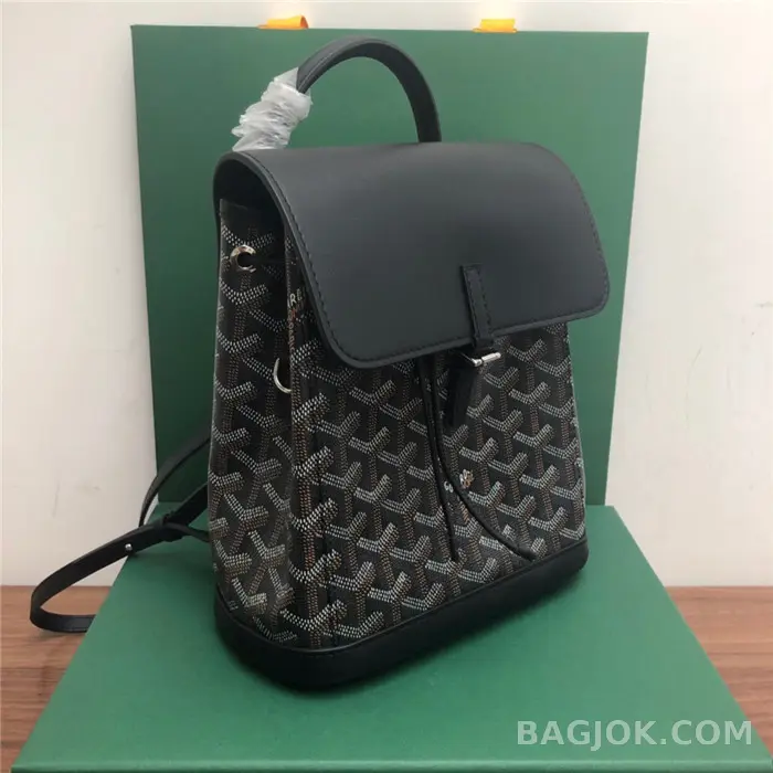 고야드 GOYARD 알팡 백팩 미니 상세 이미지