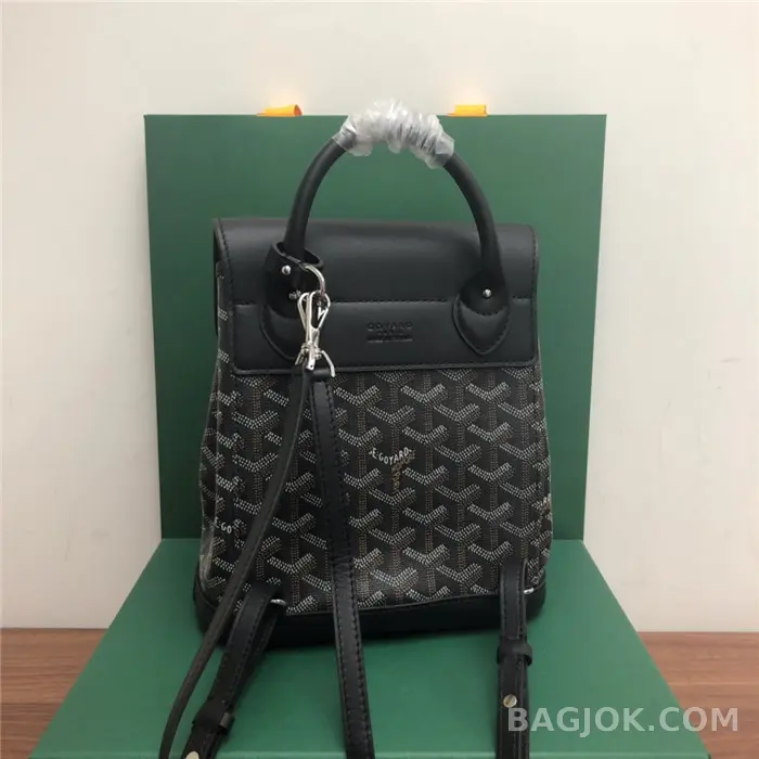 고야드 GOYARD 알팡 백팩 미니 상세 이미지