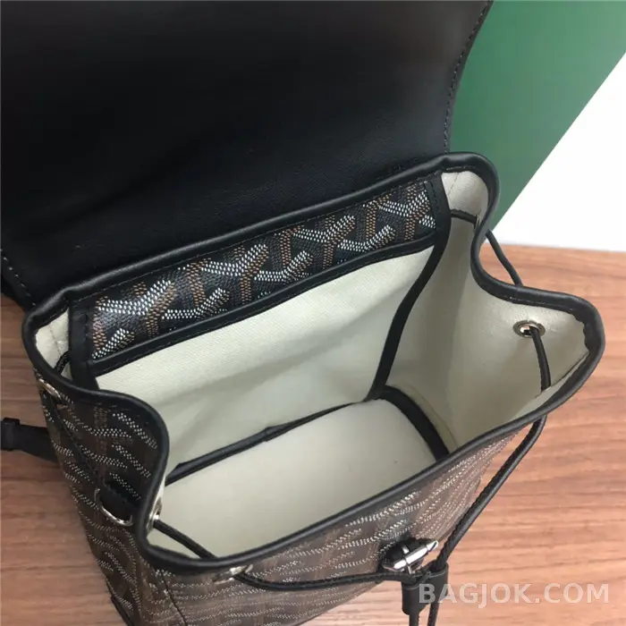 고야드 GOYARD 알팡 백팩 미니 상세 이미지