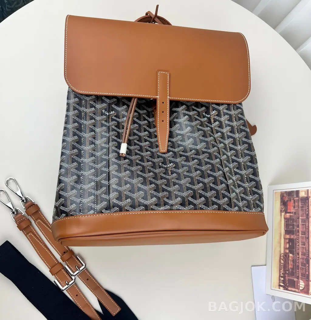 고야드 GOYARD 알팡 백팩 상세 이미지