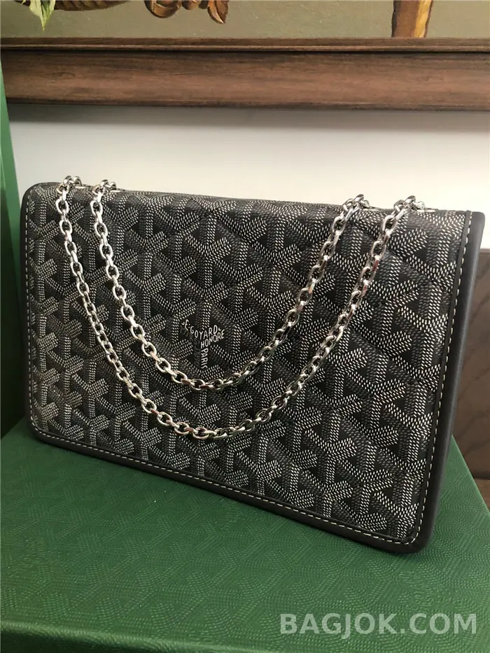 고야드 GOYARD 알렉상드르 III 백 상세 이미지
