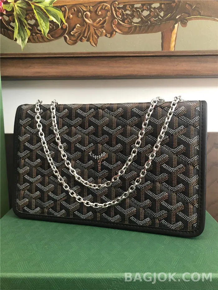 고야드 GOYARD 알렉상드르 III 백 상세 이미지