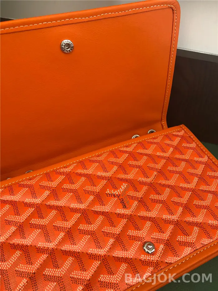 고야드 GOYARD 알렉상드르 III 백 상세 이미지