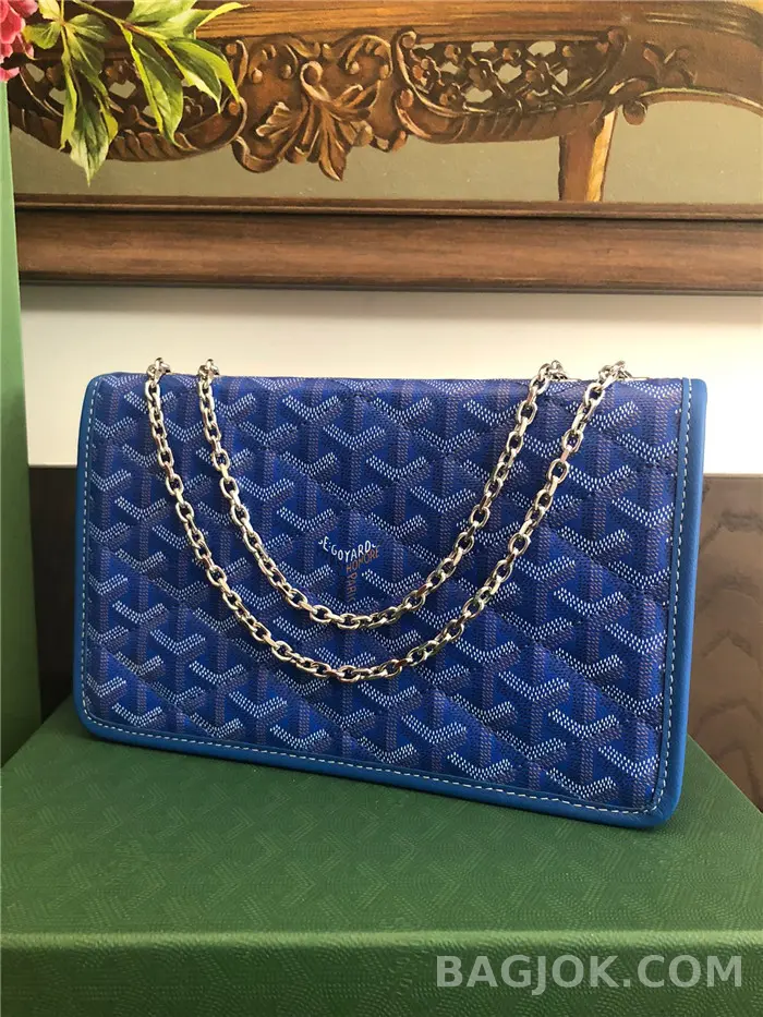 고야드 GOYARD 알렉상드르 III 백 상세 이미지
