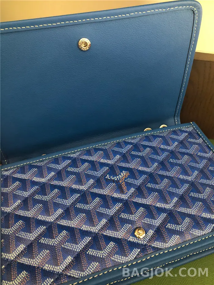 고야드 GOYARD 알렉상드르 III 백 상세 이미지