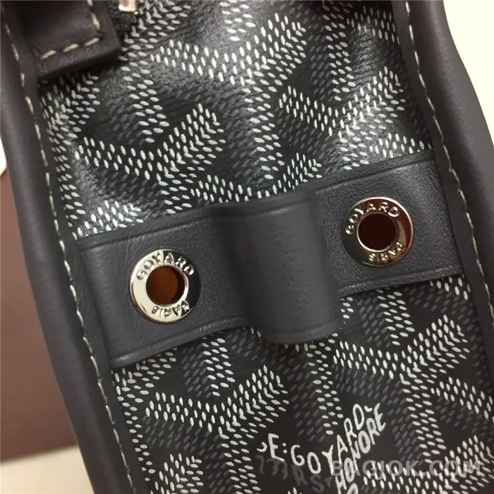고야드 GOYARD 토일렛백 MM 상세 이미지