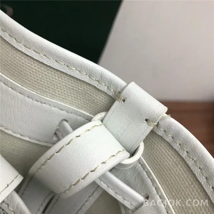 고야드 GOYARD 쁘띠플로 버킷백 상세 이미지