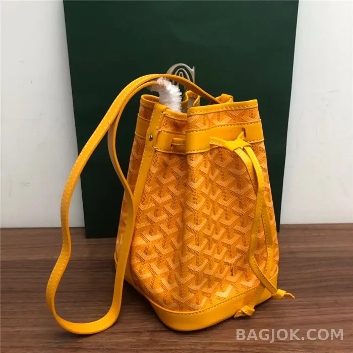 고야드 GOYARD 쁘띠플로 버킷백 상세 이미지