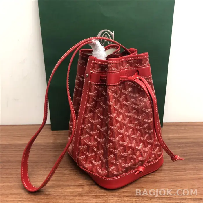 고야드 GOYARD 쁘띠플로 버킷백 상세 이미지