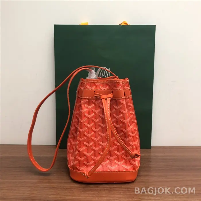 고야드 GOYARD 쁘띠플로 버킷백 상세 이미지