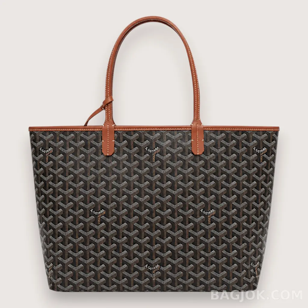 GOYARD 생 루이 PM 백_대표이미지