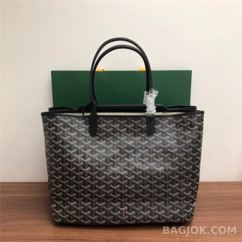 고야드 GOYARD 생 루이 PM 백 상세 이미지