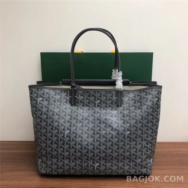 고야드 GOYARD 생 루이 PM 백 상세 이미지