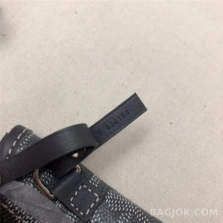 고야드 GOYARD 생 루이 PM 백 상세 이미지