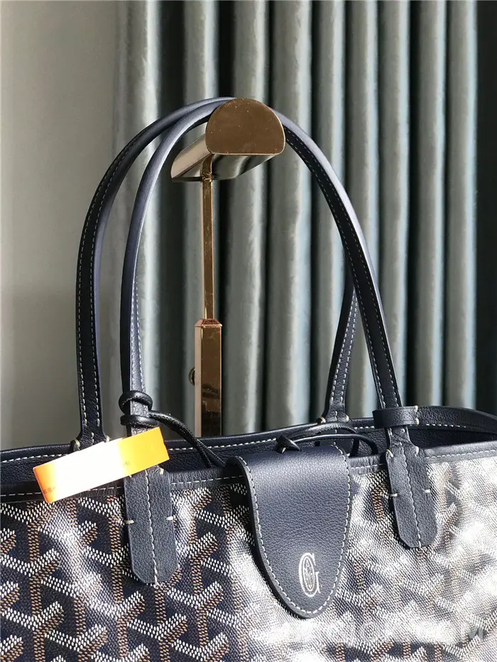 고야드 GOYARD 앙주 PM 백 상세 이미지