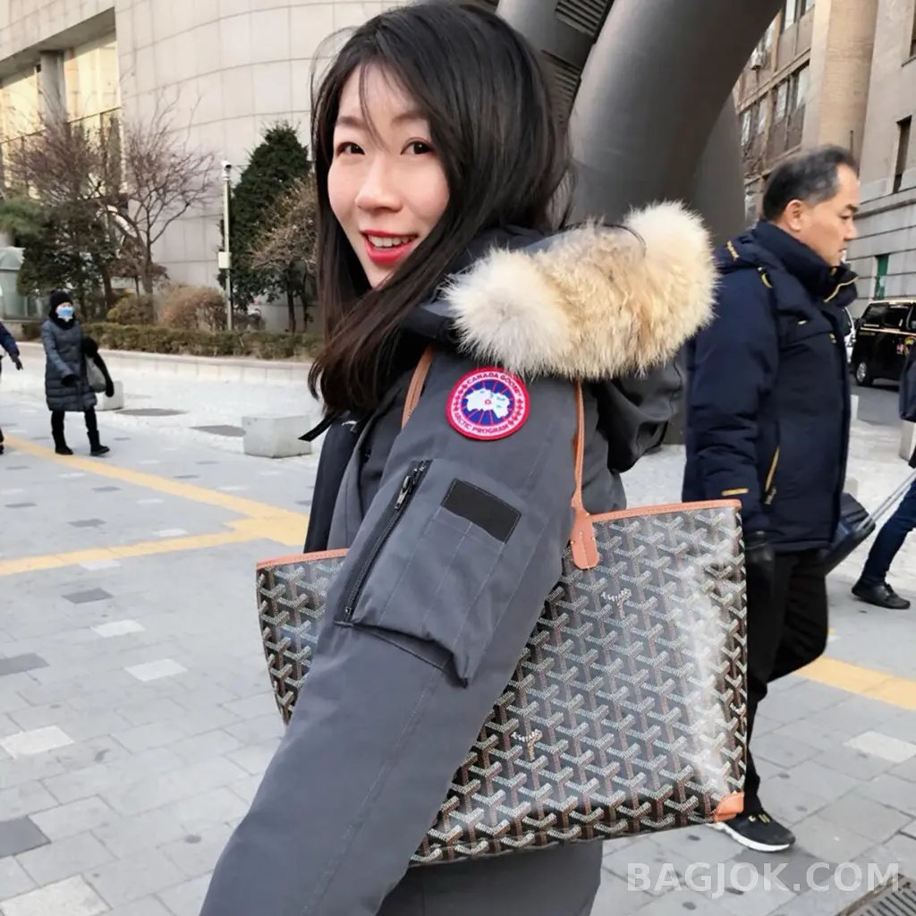 고야드 GOYARD 아르투아 PM 백 상세 이미지