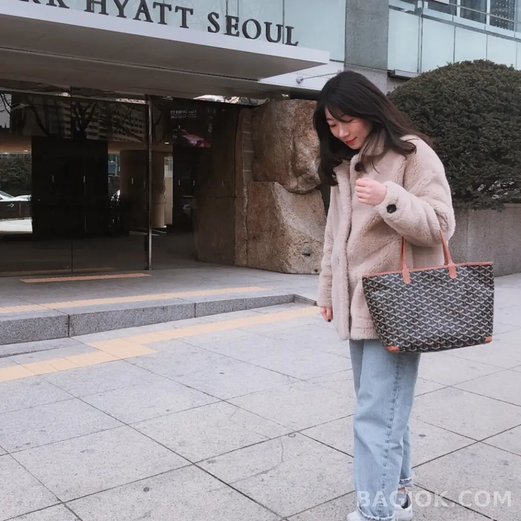 고야드 GOYARD 아르투아 PM 백 상세 이미지