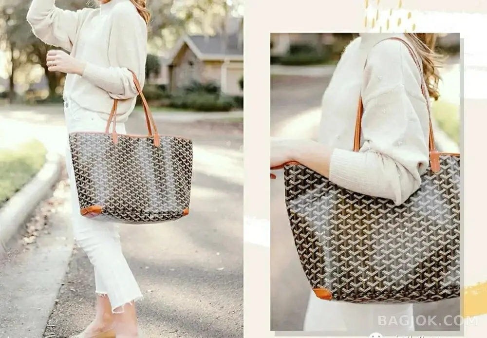 고야드 GOYARD 아르투아 PM 백 상세 이미지
