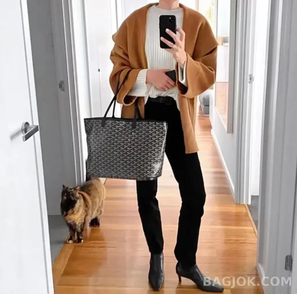 고야드 GOYARD 아르투아 PM 백 상세 이미지