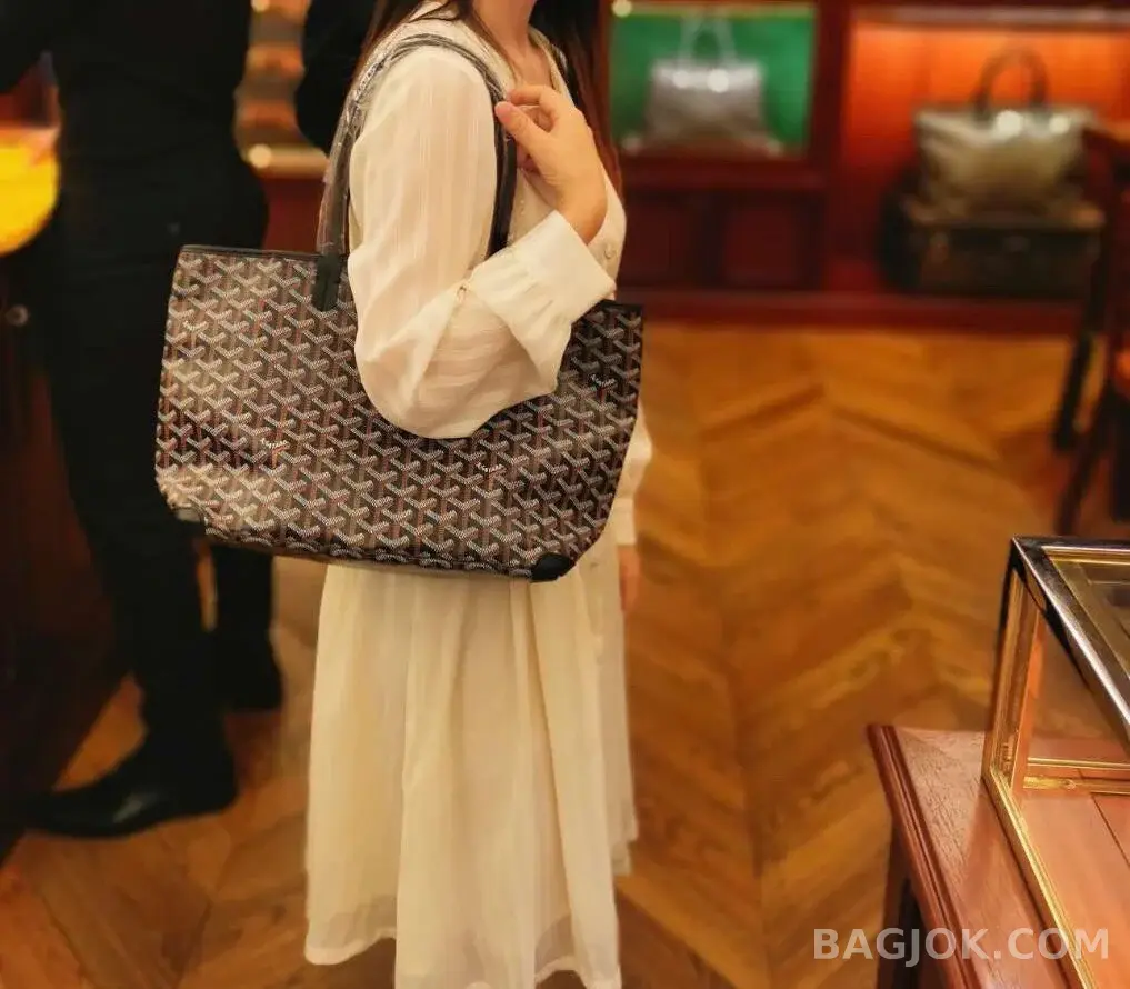 고야드 GOYARD 아르투아 PM 백 상세 이미지