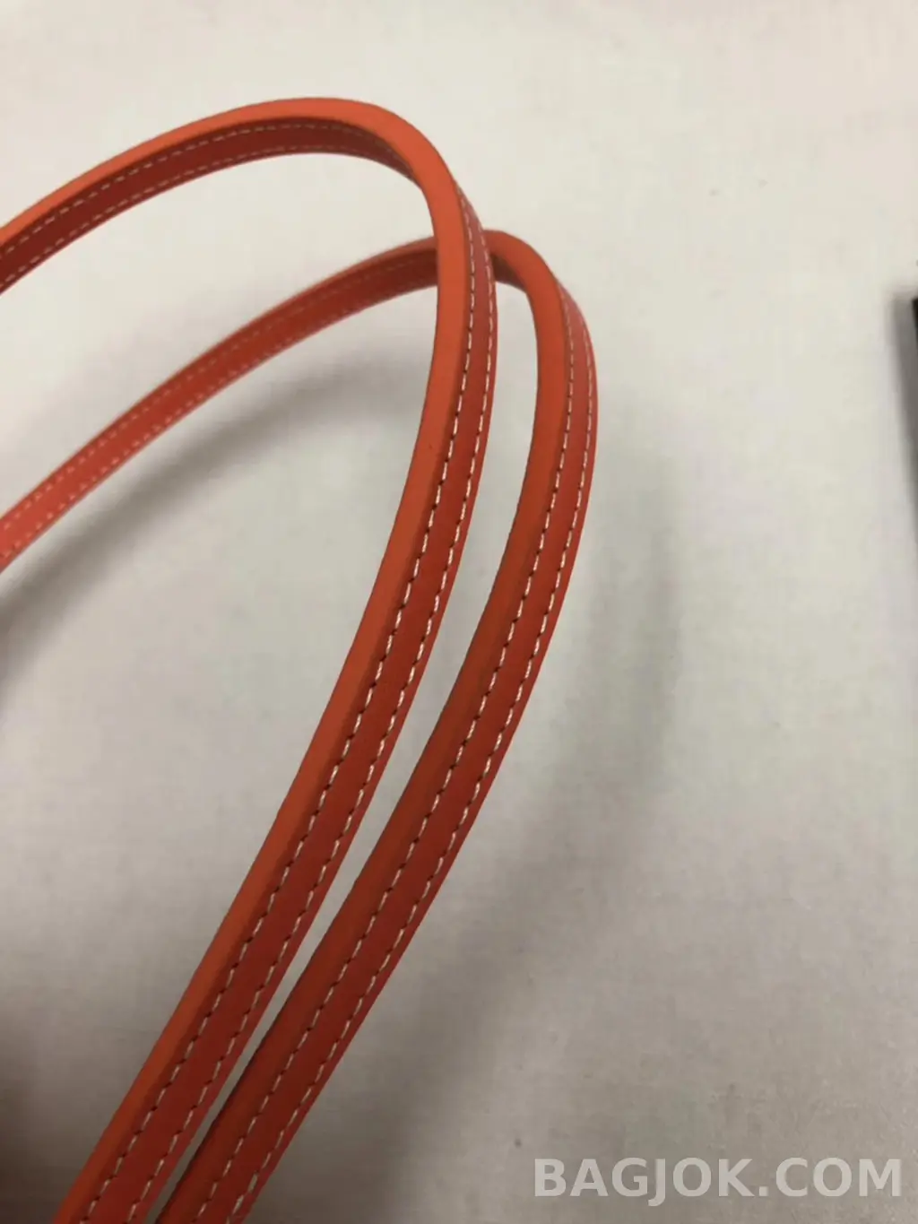 고야드 GOYARD 아르투아 PM 백 상세 이미지