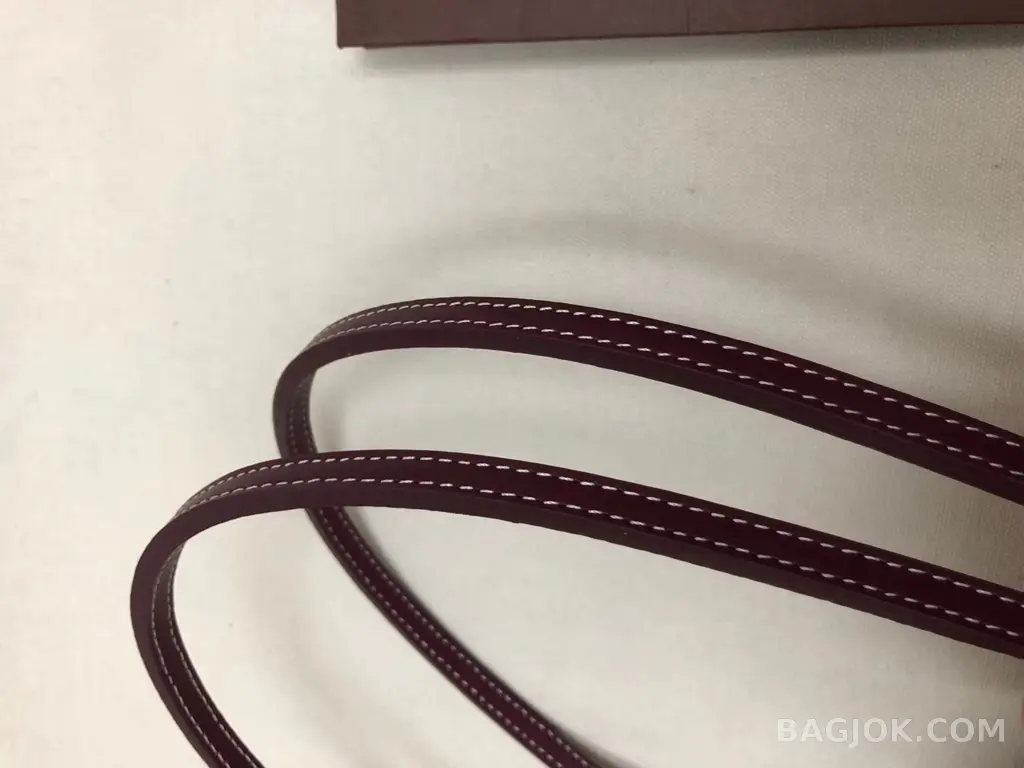고야드 GOYARD 아르투아 PM 백 상세 이미지