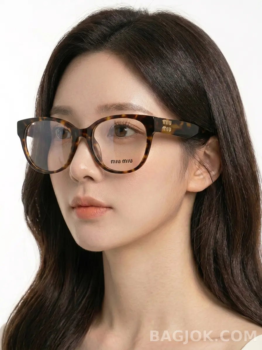 토르토이즈