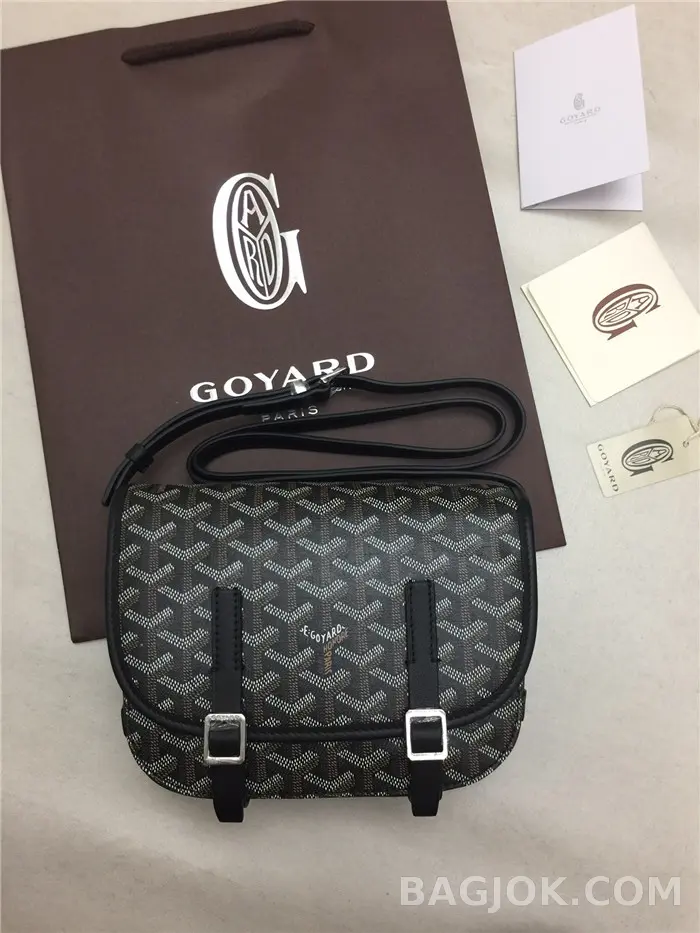 고야드 GOYARD 벨베데르 메신저백 PM 상세 이미지