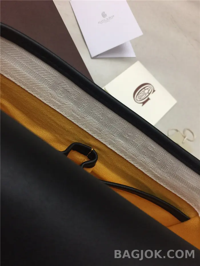 고야드 GOYARD 벨베데르 메신저백 PM 상세 이미지