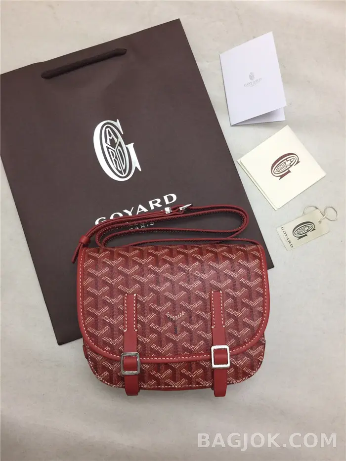 고야드 GOYARD 벨베데르 메신저백 PM 상세 이미지