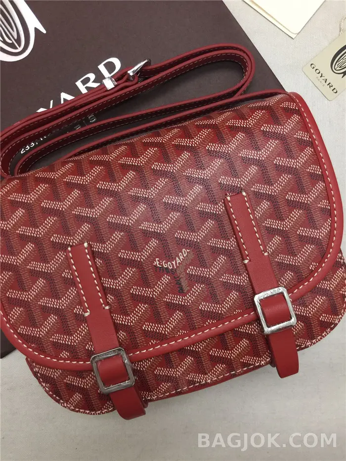 고야드 GOYARD 벨베데르 메신저백 PM 상세 이미지