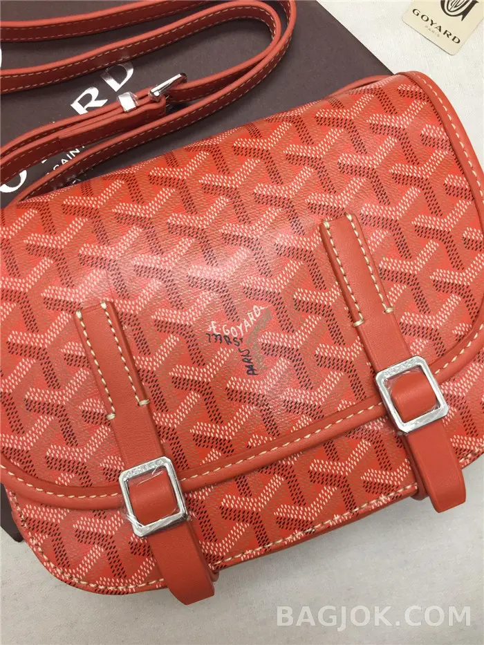 고야드 GOYARD 벨베데르 메신저백 PM 상세 이미지