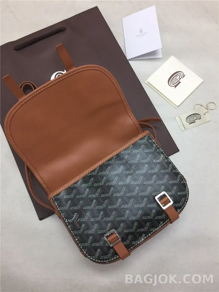 고야드 GOYARD 벨베데르 메신저백 PM 상세 이미지