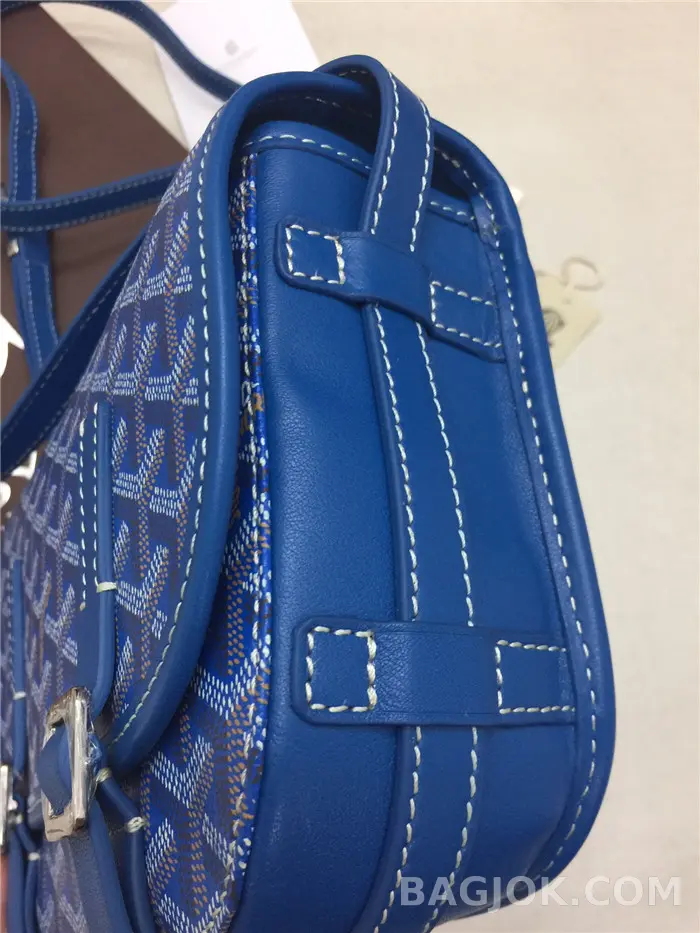 고야드 GOYARD 벨베데르 메신저백 PM 상세 이미지