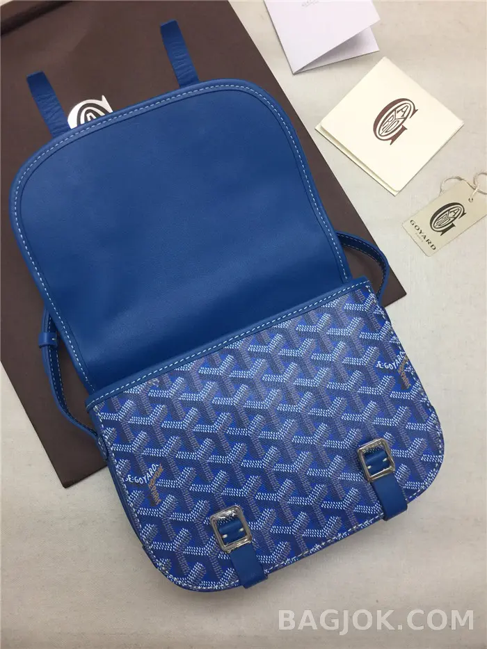 고야드 GOYARD 벨베데르 메신저백 PM 상세 이미지