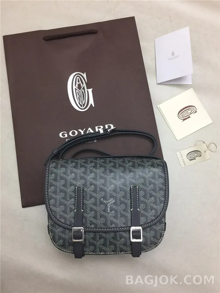 고야드 GOYARD 벨베데르 메신저백 PM 상세 이미지