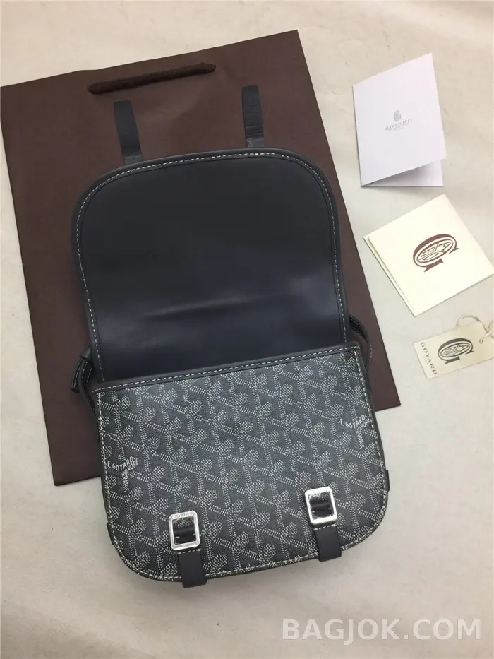 고야드 GOYARD 벨베데르 메신저백 PM 상세 이미지