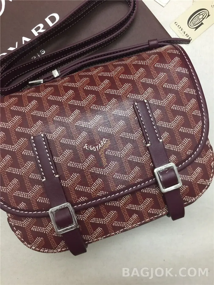 고야드 GOYARD 벨베데르 메신저백 MM 상세 이미지
