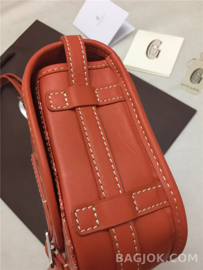 고야드 GOYARD 벨베데르 메신저백 MM 상세 이미지