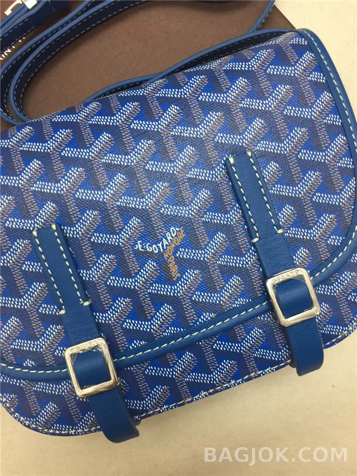 고야드 GOYARD 벨베데르 메신저백 MM 상세 이미지