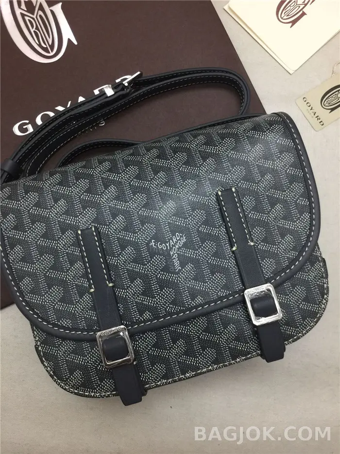 고야드 GOYARD 벨베데르 메신저백 MM 상세 이미지