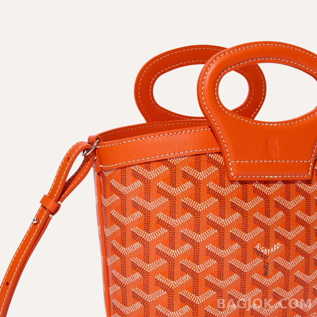 고야드 GOYARD 벨루가 미니백 상세 이미지