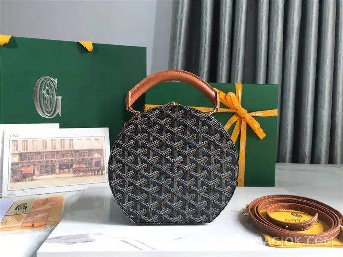고야드 GOYARD 알토 박스 트렁크백 상세 이미지