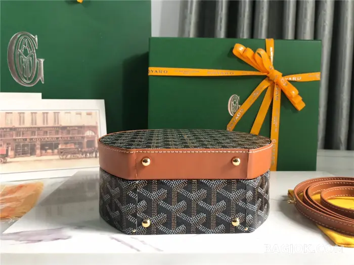 고야드 GOYARD 알토 박스 트렁크백 상세 이미지
