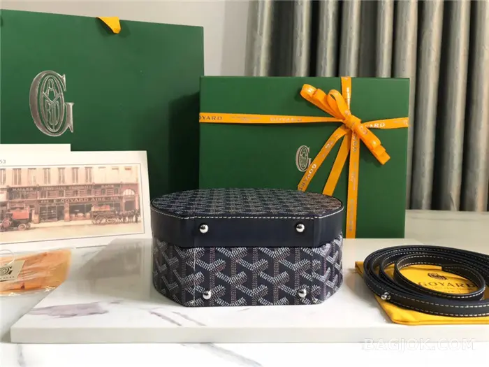 고야드 GOYARD 알토 박스 트렁크백 상세 이미지