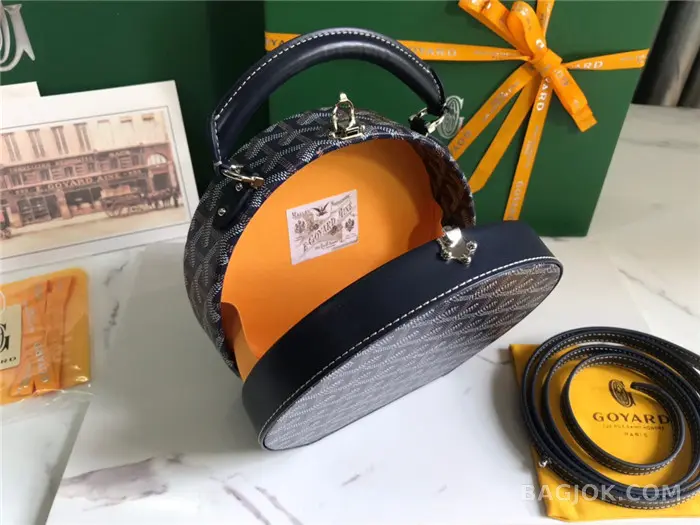 고야드 GOYARD 알토 박스 트렁크백 상세 이미지