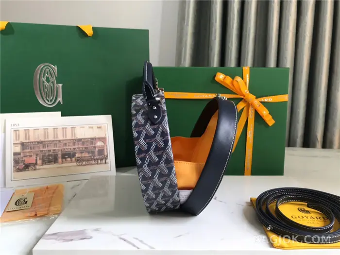 고야드 GOYARD 알토 박스 트렁크백 상세 이미지