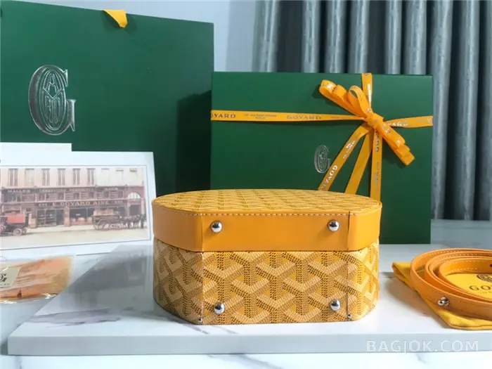 고야드 GOYARD 알토 박스 트렁크백 상세 이미지
