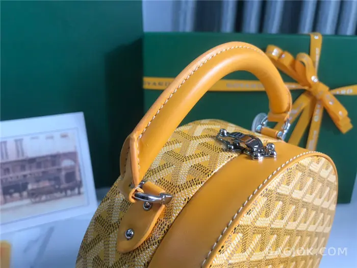 고야드 GOYARD 알토 박스 트렁크백 상세 이미지